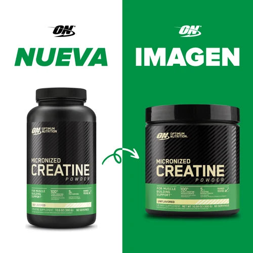 Creatina Powder Optimum Nutrition 300g