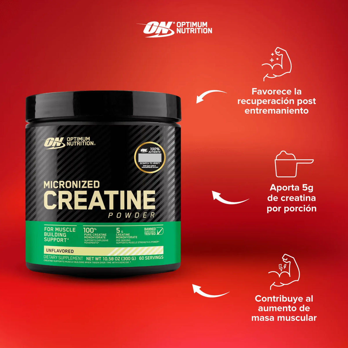 Creatina Powder Optimum Nutrition 300g